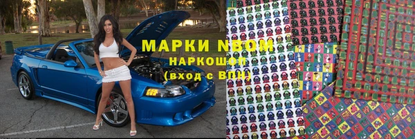 дживик Няндома
