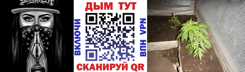 Шишки марихуана White Widow  дарнет шоп  Облучье 